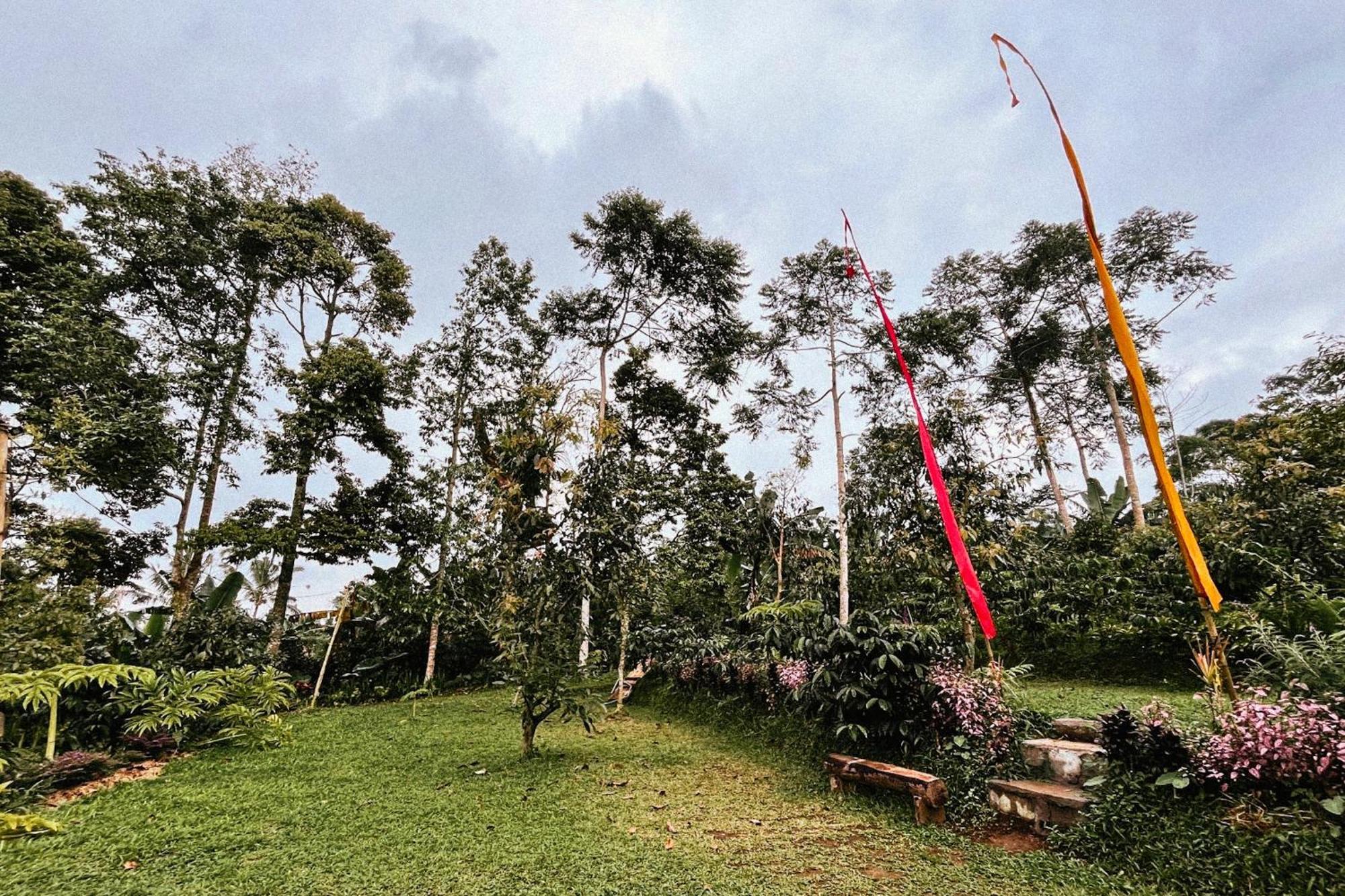 Sanda Eco By Agata Lodge Padangan (Bali)